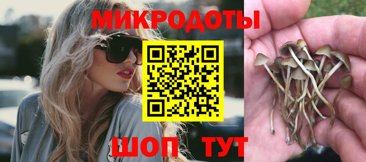 Киров  Псилоцибиновые грибы GOLDEN TEACHER  Вход с VPN 